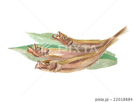 焼き子持ちししゃも 22018884