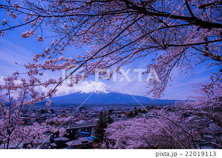 富士山25 22019113