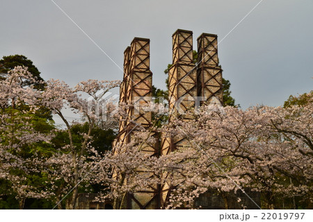 桜咲く韮山反射炉 22019797