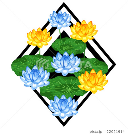 Natural background with lotus flowers and leaves 22021914