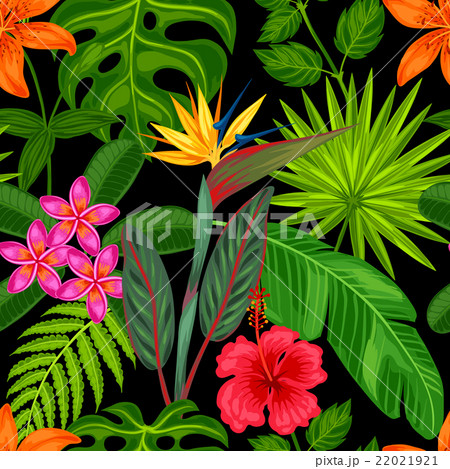 Seamless pattern with tropical plants, leaves and 22021921
