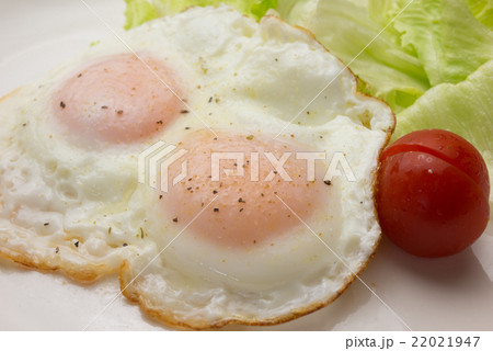 目玉焼き  22021947