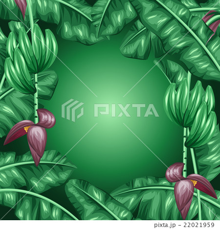 Background with banana leaves. Decorative image of 22021959