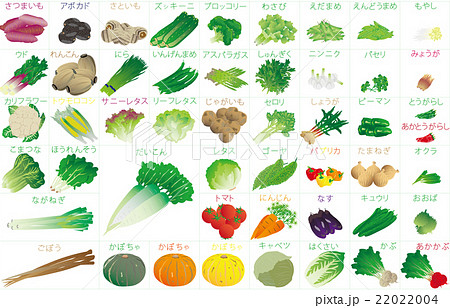 野菜いろいろのイラスト素材 2204 野菜いろいろのイラスト素材 2204