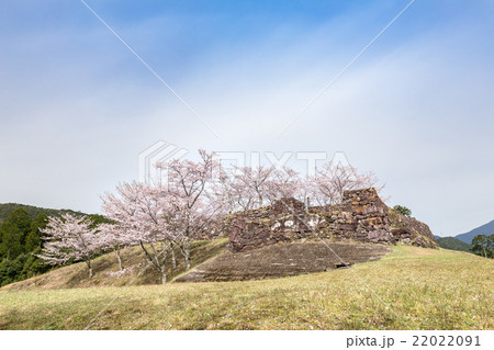 春の赤木城跡 春の赤木城跡 22022091
