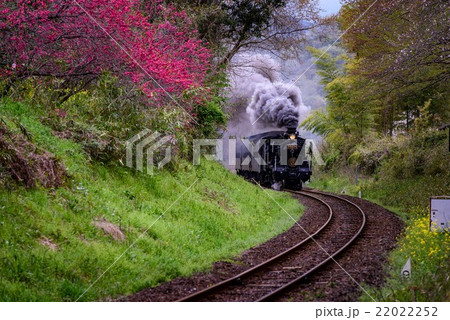 『SL人吉号』 22022252