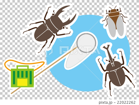 暑假昆蟲集合 暑假昆蟲集合 22022262