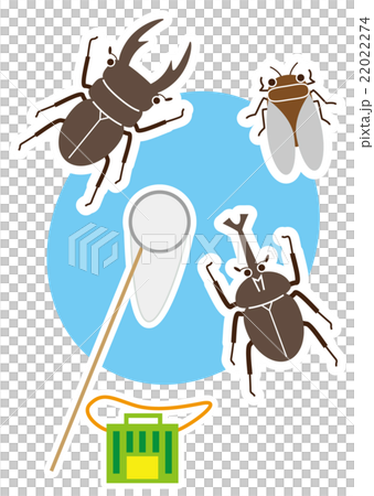 Insect collecting 22022274