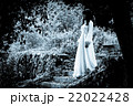 Horror Scene of a Scary Woman 22022428