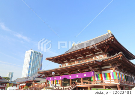 東京 増上寺 東京 増上寺 22022481