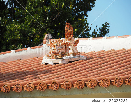 シーサー 22023285