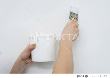 Paint can and brush in female hands 22024036