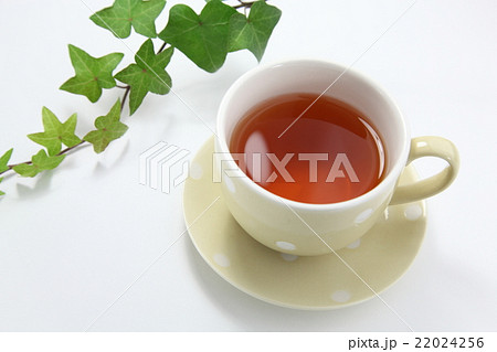 お茶　ルイボスティ 22024256