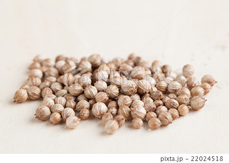 Coriander seeds 22024518