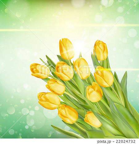 Bouquet of yellow tulips. EPS 10 Bouquet of yellow tulips. EPS 10 22024732