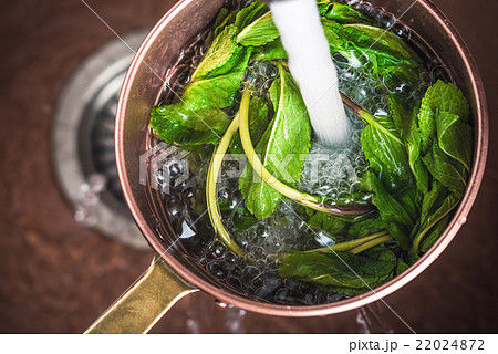Washing the mint in the colander Washing the mint in the colander 22024872