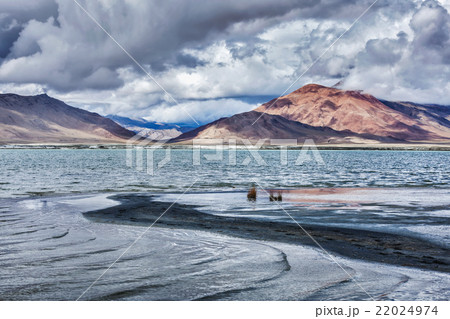 Mountain lake Tso Kar in Himalayas 22024974