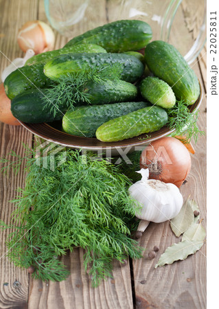 Making pickles Making pickles 22025811