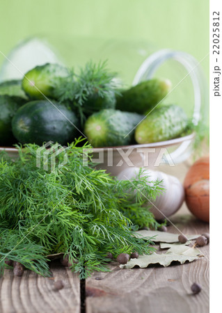 Making pickles Making pickles 22025812