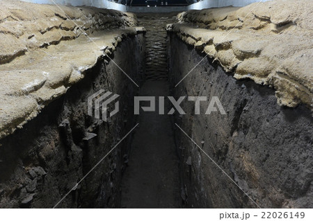 特別史跡「三内丸山遺跡」 22026149