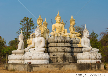 Buddha statue 22026405