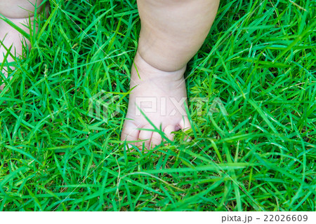 Baby's foot Baby's foot 22026609