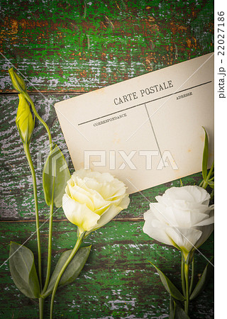 White flowers with postcard vertical White flowers with postcard vertical 22027186