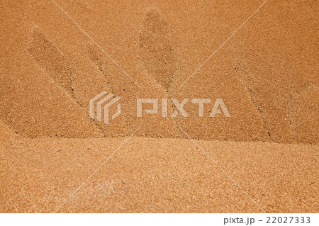 heap of wheat grains   22027333