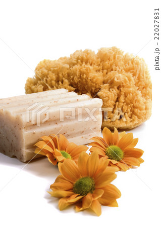 natural sponge, soap and flowers 22027831