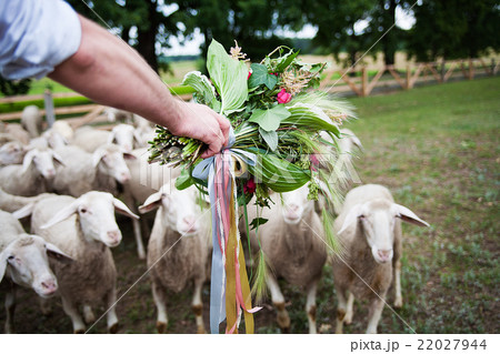 groom with a bouquet on background of sheep 22027944
