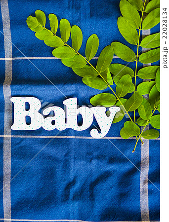 the inscription of white letters Baby 22028134