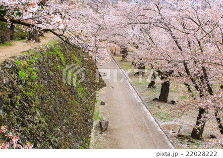 小諸城趾 22028222