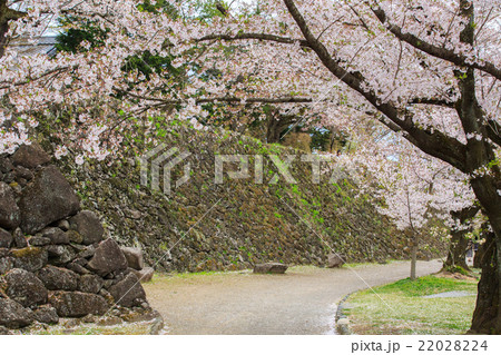 小諸城趾 小諸城趾 22028224