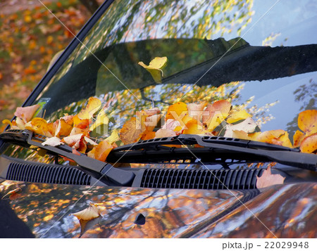 fall on the car 22029948