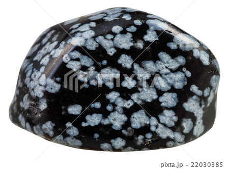 tumbled Gray snowflake obsidian gemstone isolated 22030385