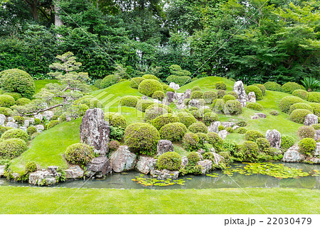 龍潭寺（りょうたんじ）庭園　夏　静岡県浜松市 22030479