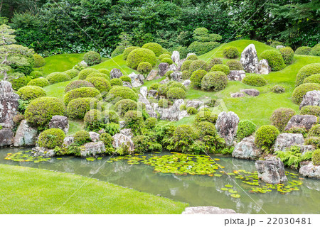 龍潭寺（りょうたんじ）庭園　夏　静岡県浜松市 22030481