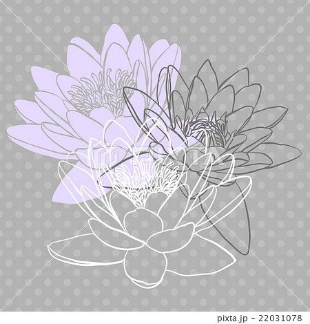 Floral background with water lily 22031078