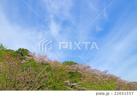 春の景色 春の景色 22031557