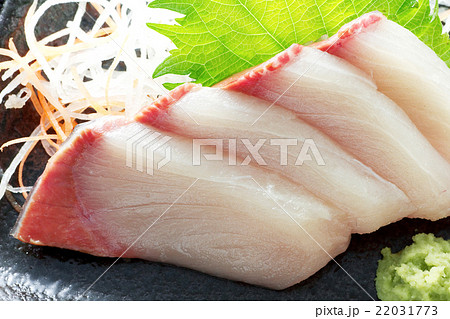 鰤の刺身2 22031773
