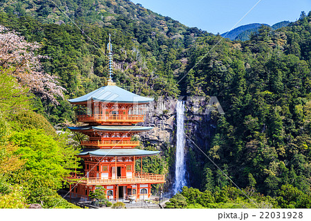 新緑に包まれた那智の滝 22031928