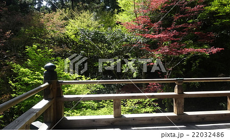 書写山円教寺　魔尼殿 22032486