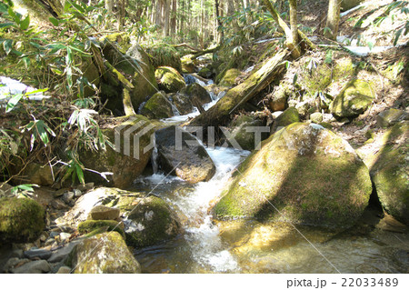 木曽川源流域の渓流 22033489
