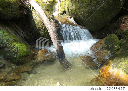 木曽川源流域の渓流 木曽川源流域の渓流 22033497