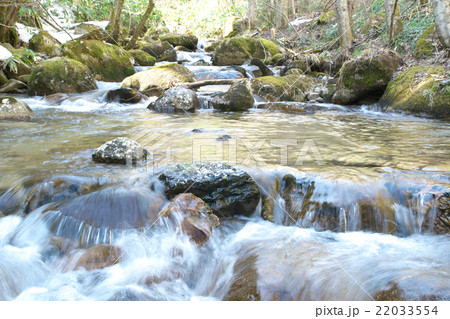 木曽川源流域の渓流 22033554