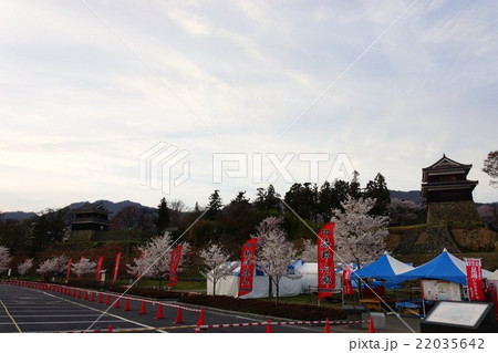 真田丸元城 春の信州上田城(真田城) 真田丸元城 春の信州上田城(真田城) 22035642