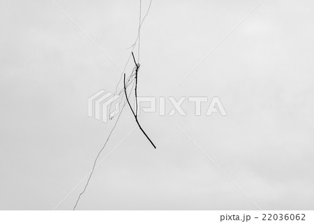 Do Not Let Go 22036062