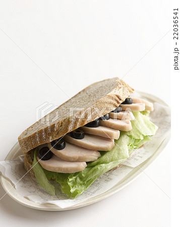 カンパーニュ 22036541