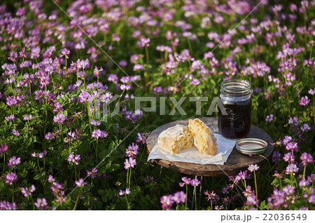 コーンパン 22036549