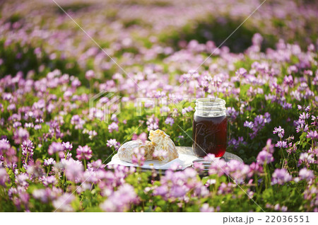 コーンパン 22036551